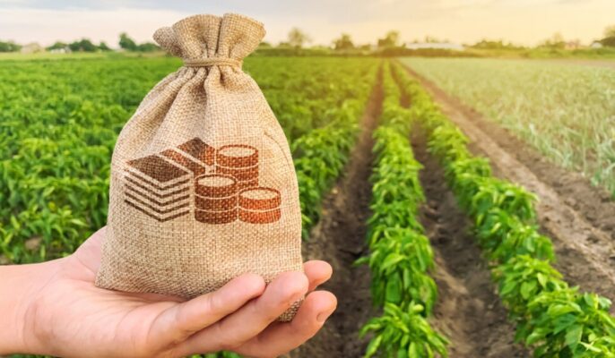 Agriculture Property In India – Foreign Exchange Laws – NRIs, OCIs, Foreign Citizens – S Lohia & Associates